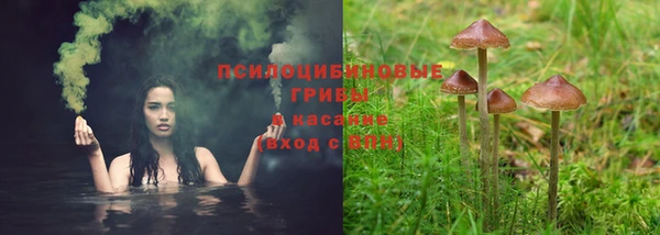 дмт Краснотурьинск