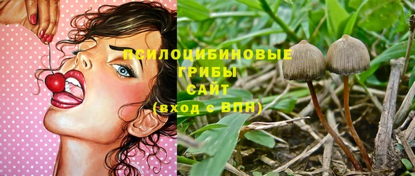 бошки Красноперекопск