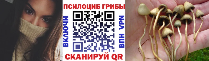 Галлюциногенные грибы ЛСД  Ростов-на-Дону 