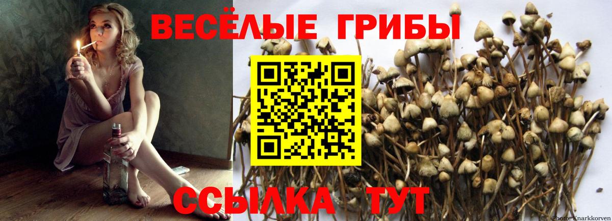Галлюциногенные грибы MAGIC MUSHROOMS  Псилоцибиновые грибы MAGIC MUSHROOMS  Ростов-на-Дону 
