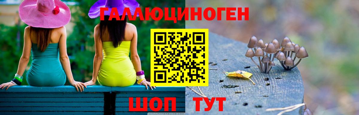 Галлюциногенные грибы Psilocybine cubensis Ростов-на-Дону