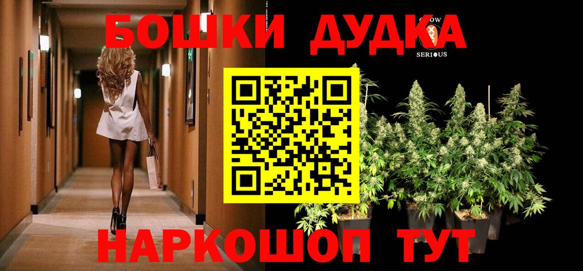 Конопля семена  Ростов-на-Дону  Бошки марихуана ГИДРОПОН  Канабис Amnesia  Каннабис марихуана 